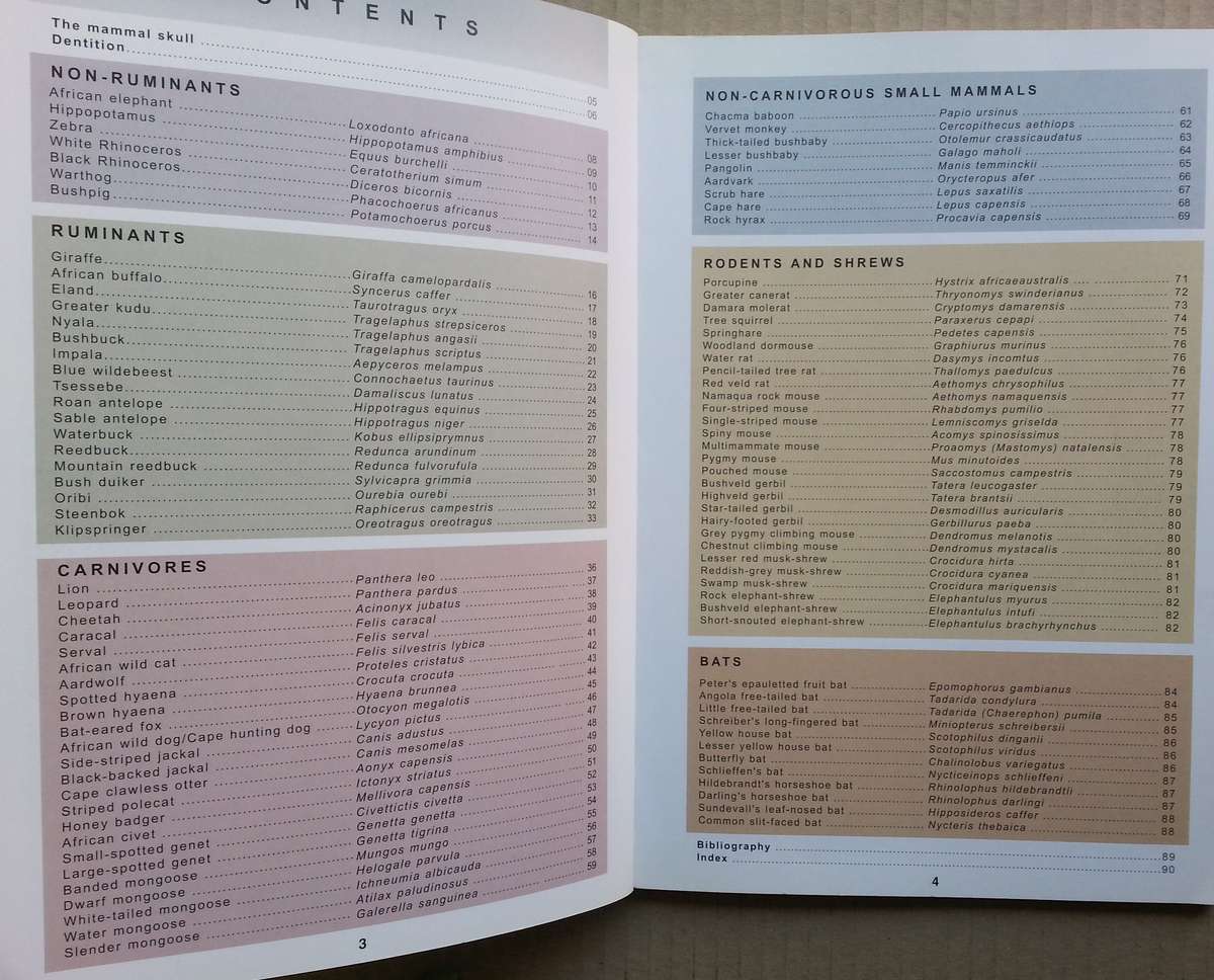 Mammals of the Kruger National Park and Surrounding Bushveld | Veronica Roodt