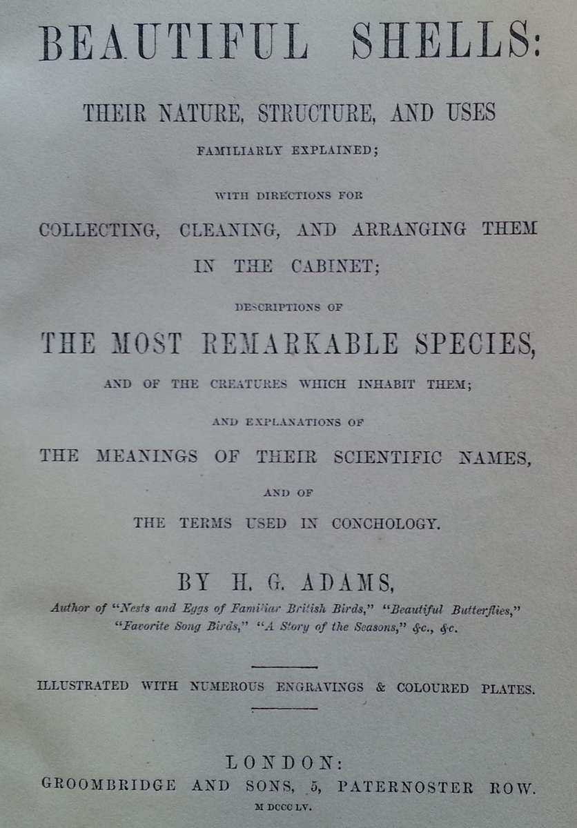 Beautiful Shells: Their Nature, Structure, and Uses (First Edition, 1855, with Hand-Coloured Plat...