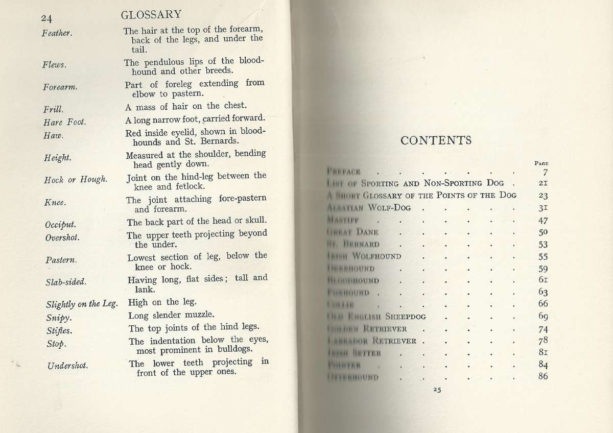 Points of the Dog (Published 1927) | T. W. Hancock Mountjoy
