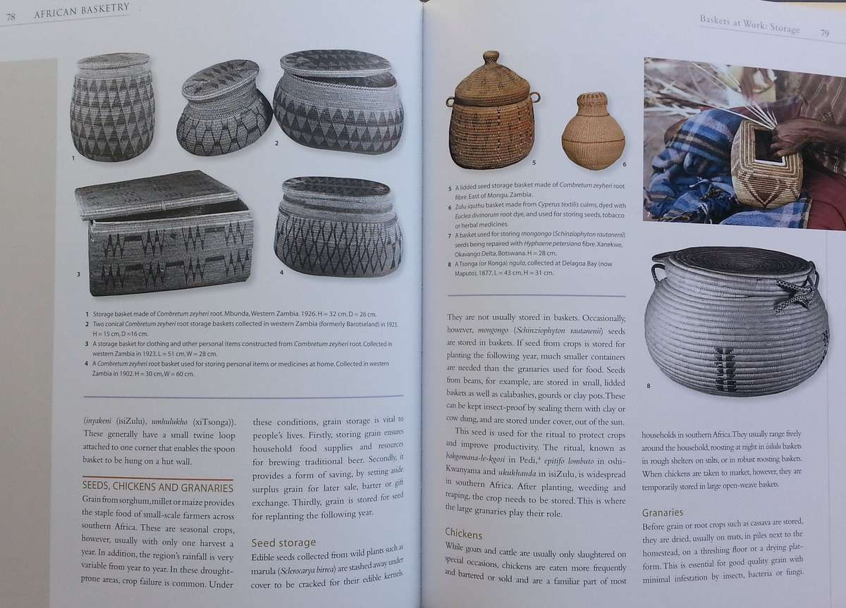 African Basketry: Grassroots Art from Southern Africa | Anthony B. Cunningham & M. Elizabeth Terry