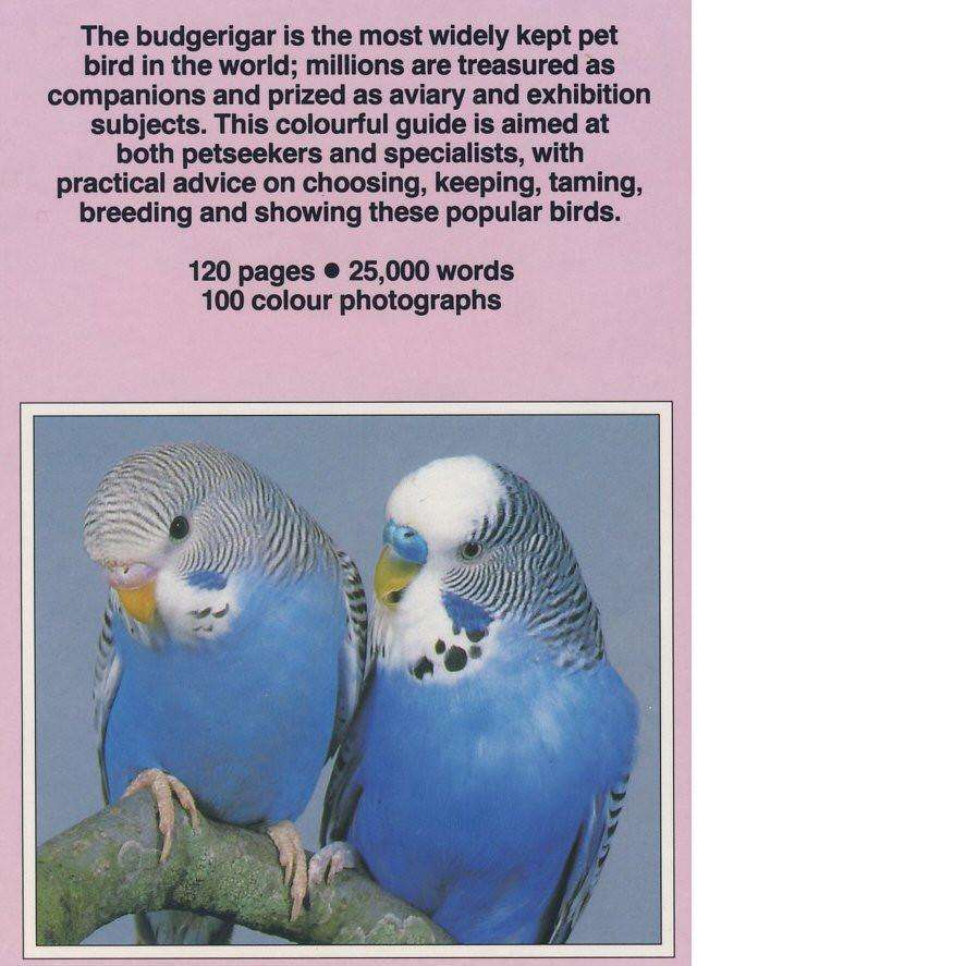 Budgies | David Alderton