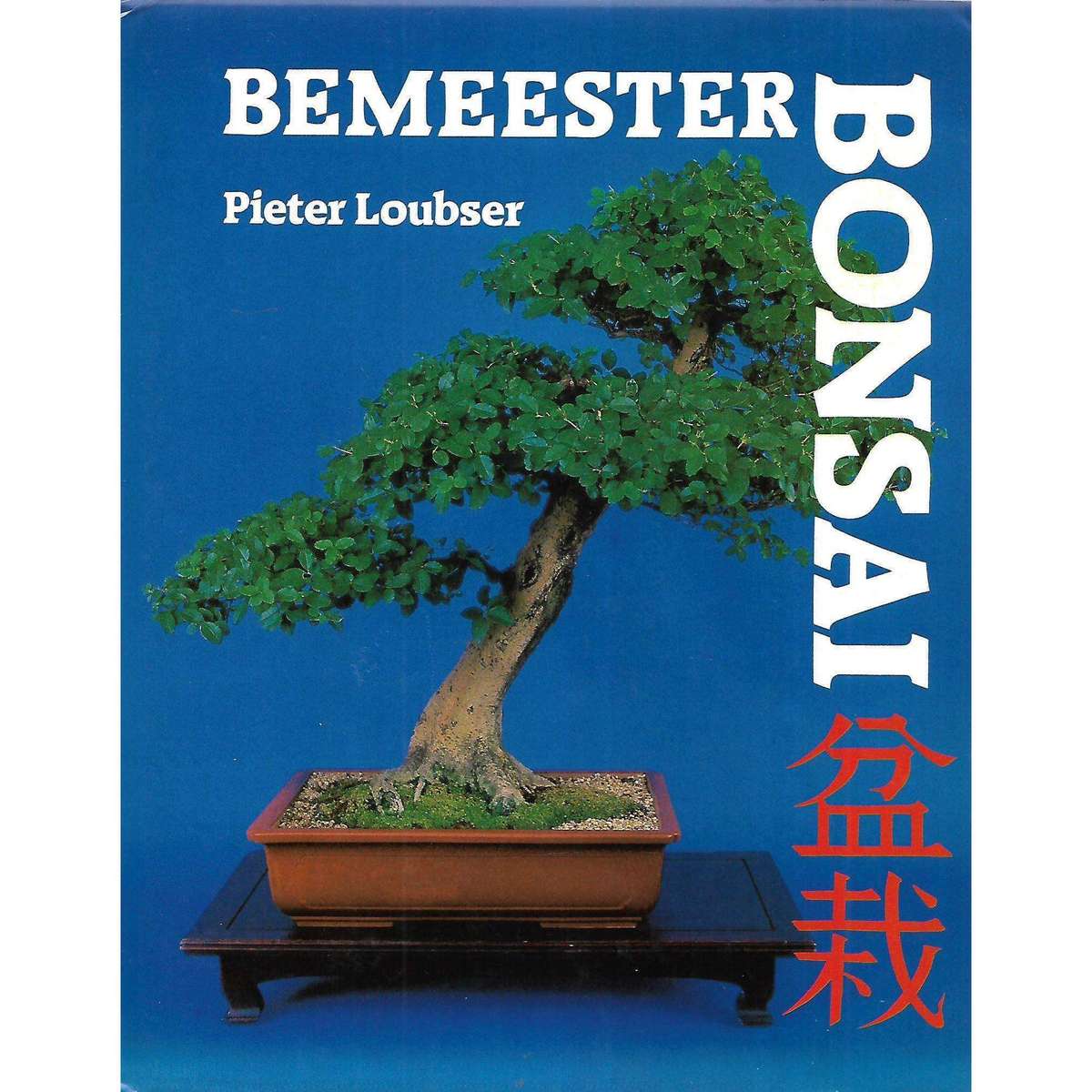 Bemeester Bonsai | Pieter Loubser