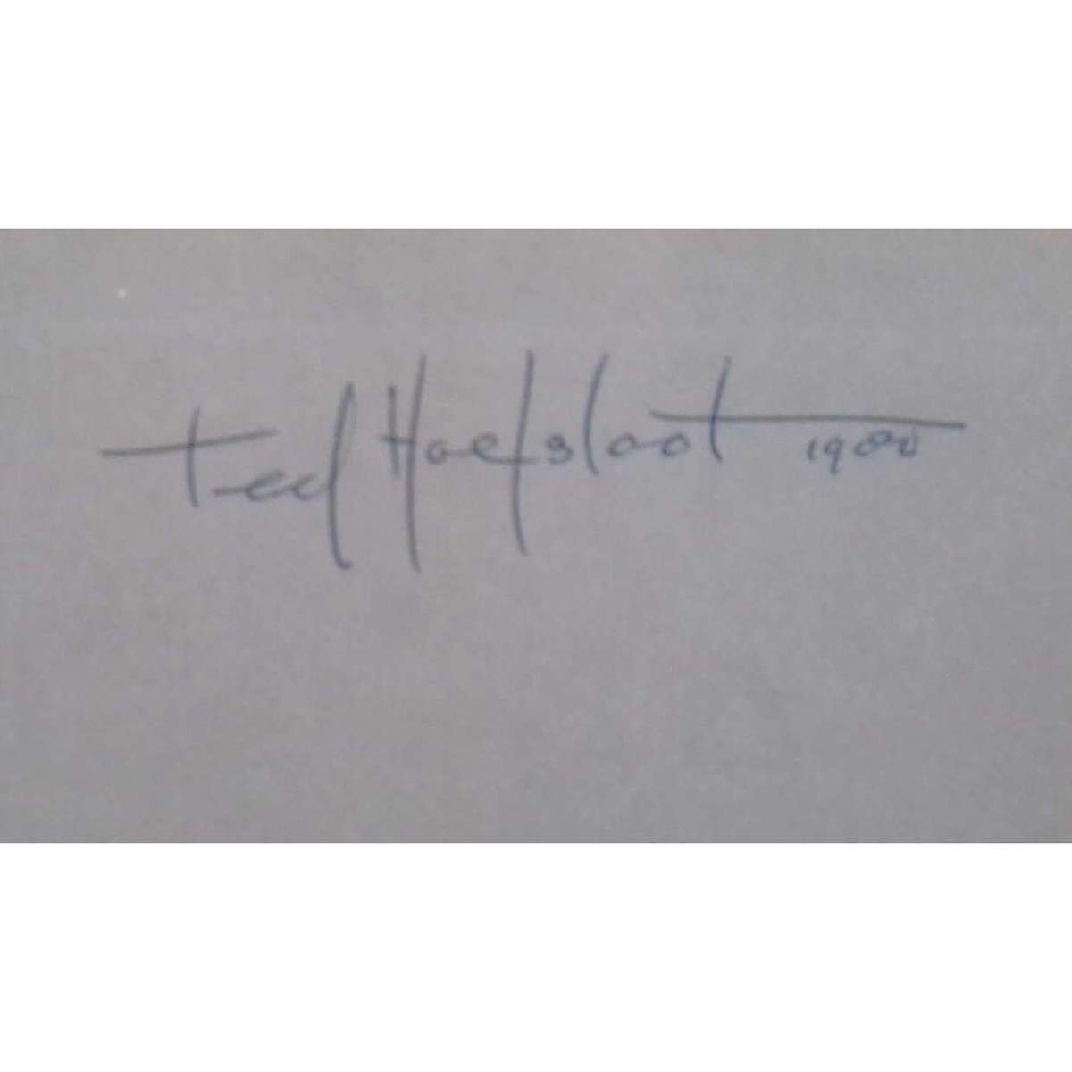 Cape Wine Homesteads (Signed by Author) | Ted Hoefsloot