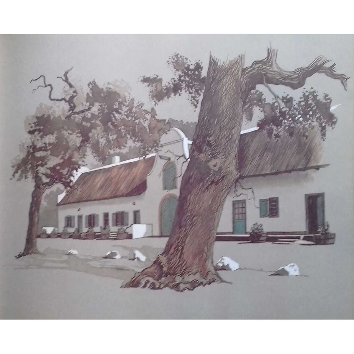 Cape Wine Homesteads (Signed by Author) | Ted Hoefsloot