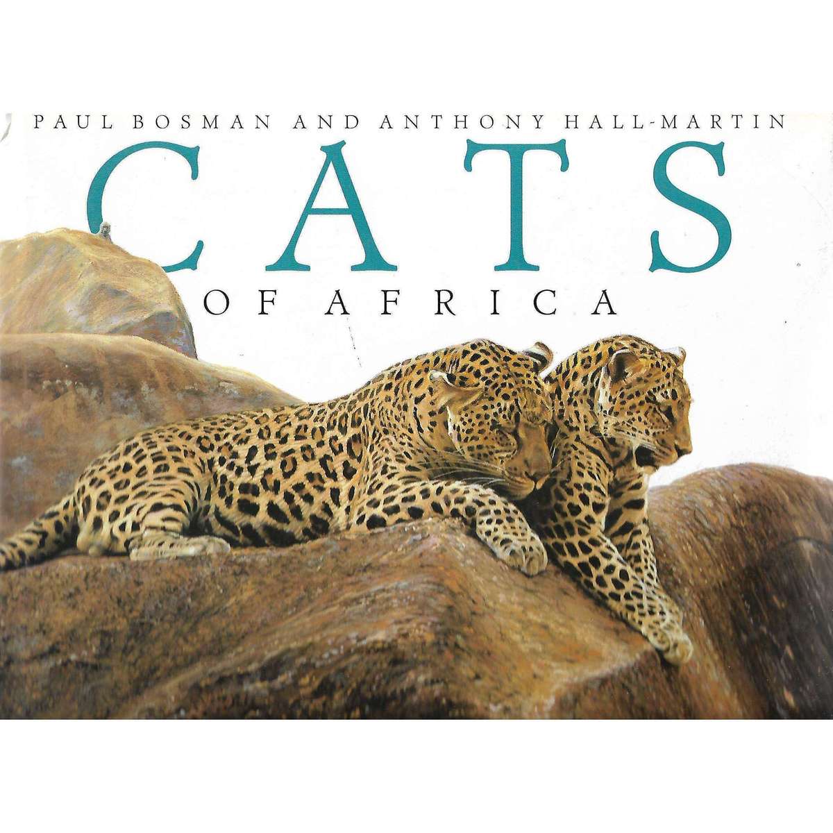 Cats of Africa (Signed by Authors) | Paul Bosman and Anthony Hall-Martin