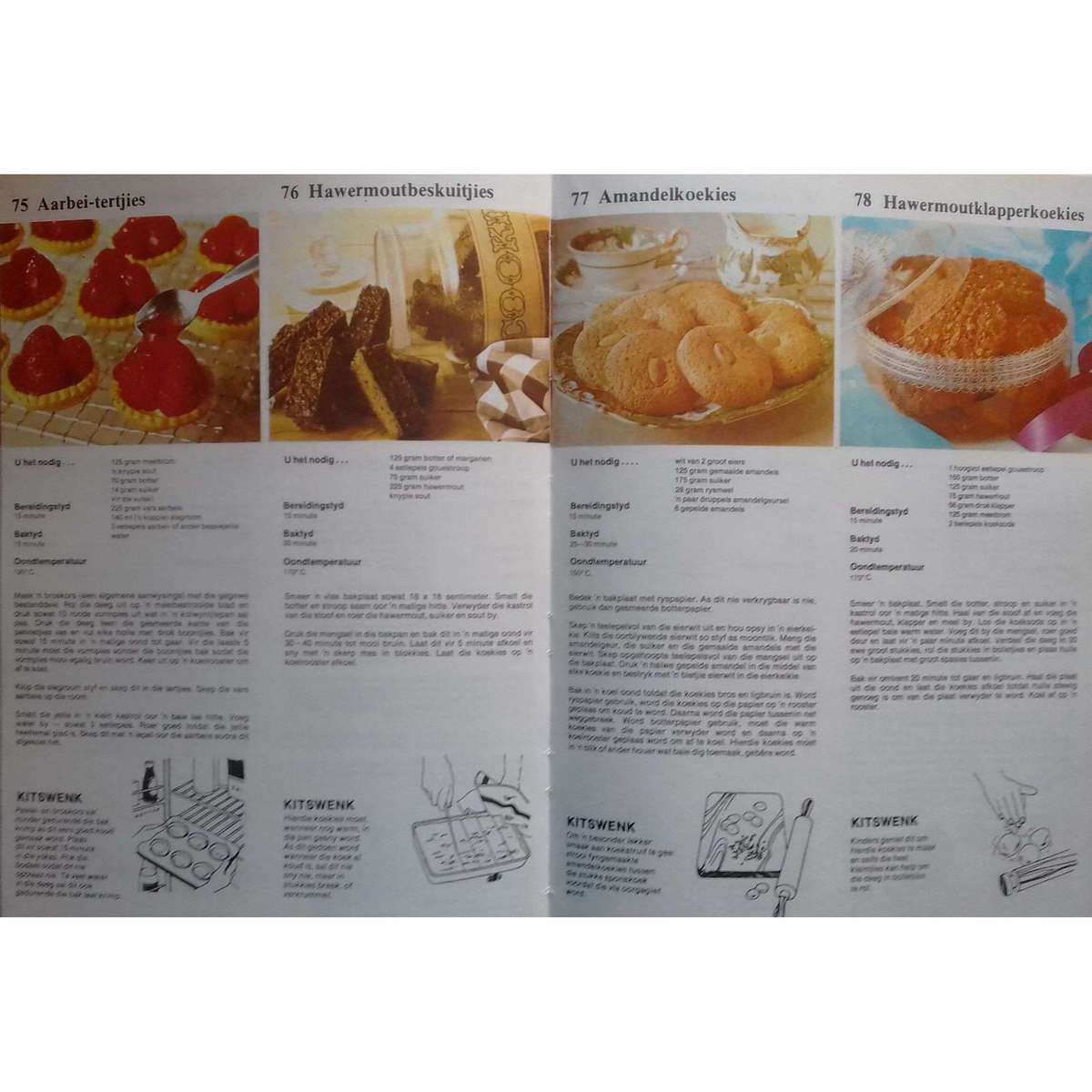 Die Nuwe Kookboek in Kleur (Afrikaans)