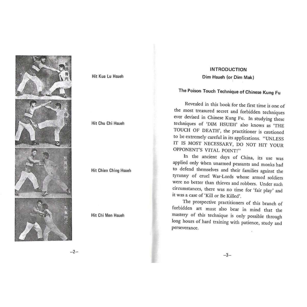 Dim Mak (Dim Hsueh): The Poison Hand Touch of Death | Douglas H. Y. Hsieh