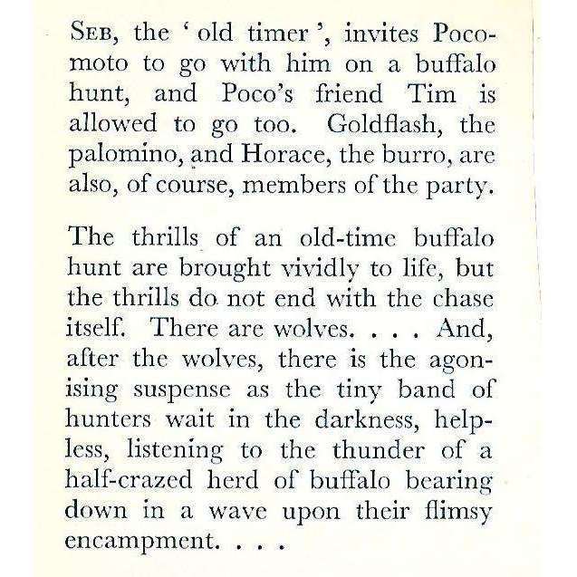 Pocomoto - Buffalo Hunter | Rex Dixon