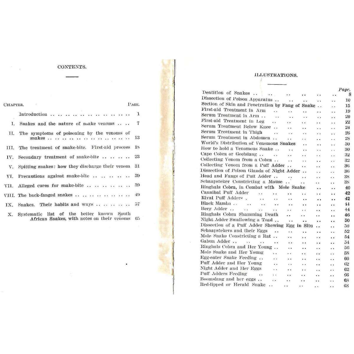 Snakes: And the Treatment of Snake Bite | F. W. Fitzsimons