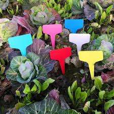 Kirchhoffs Rainbow T Markers