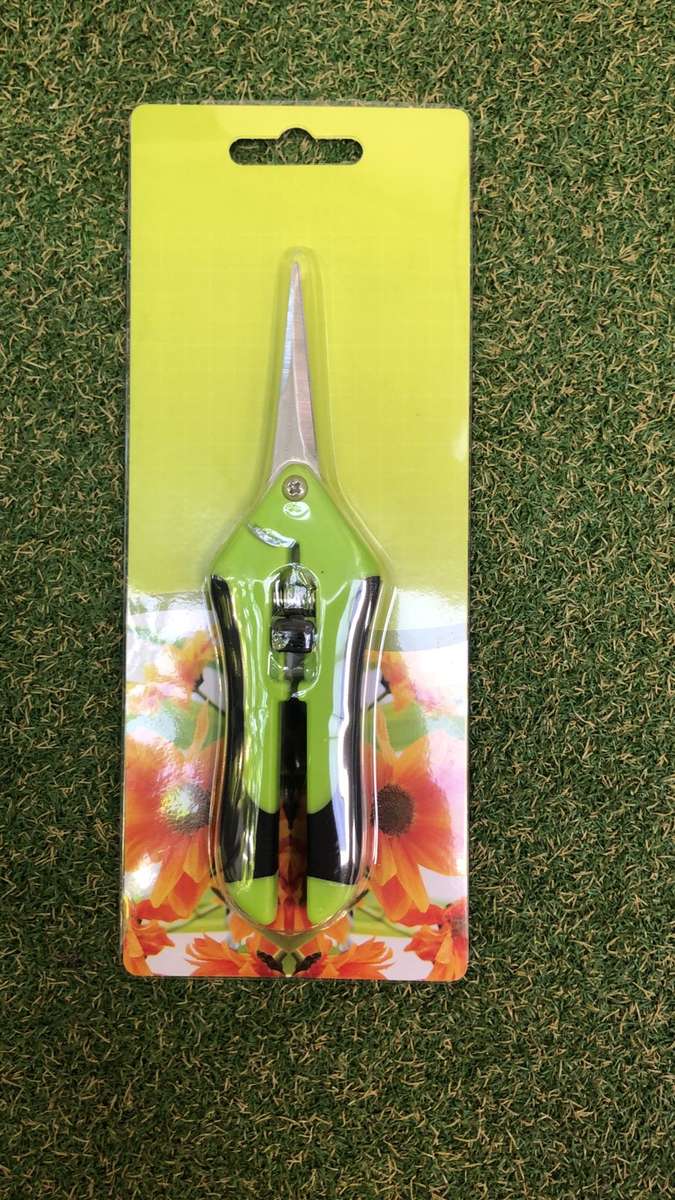 Curved Blade Scissors