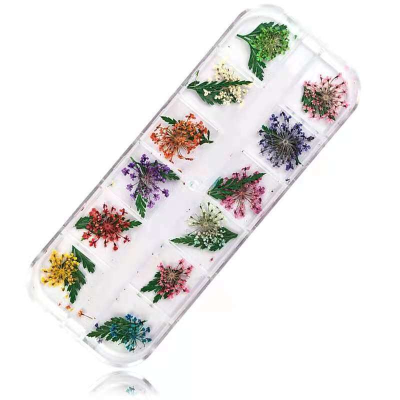 Dry Flowers Nail Dcor - Tiny Starry Flowers with Leaves