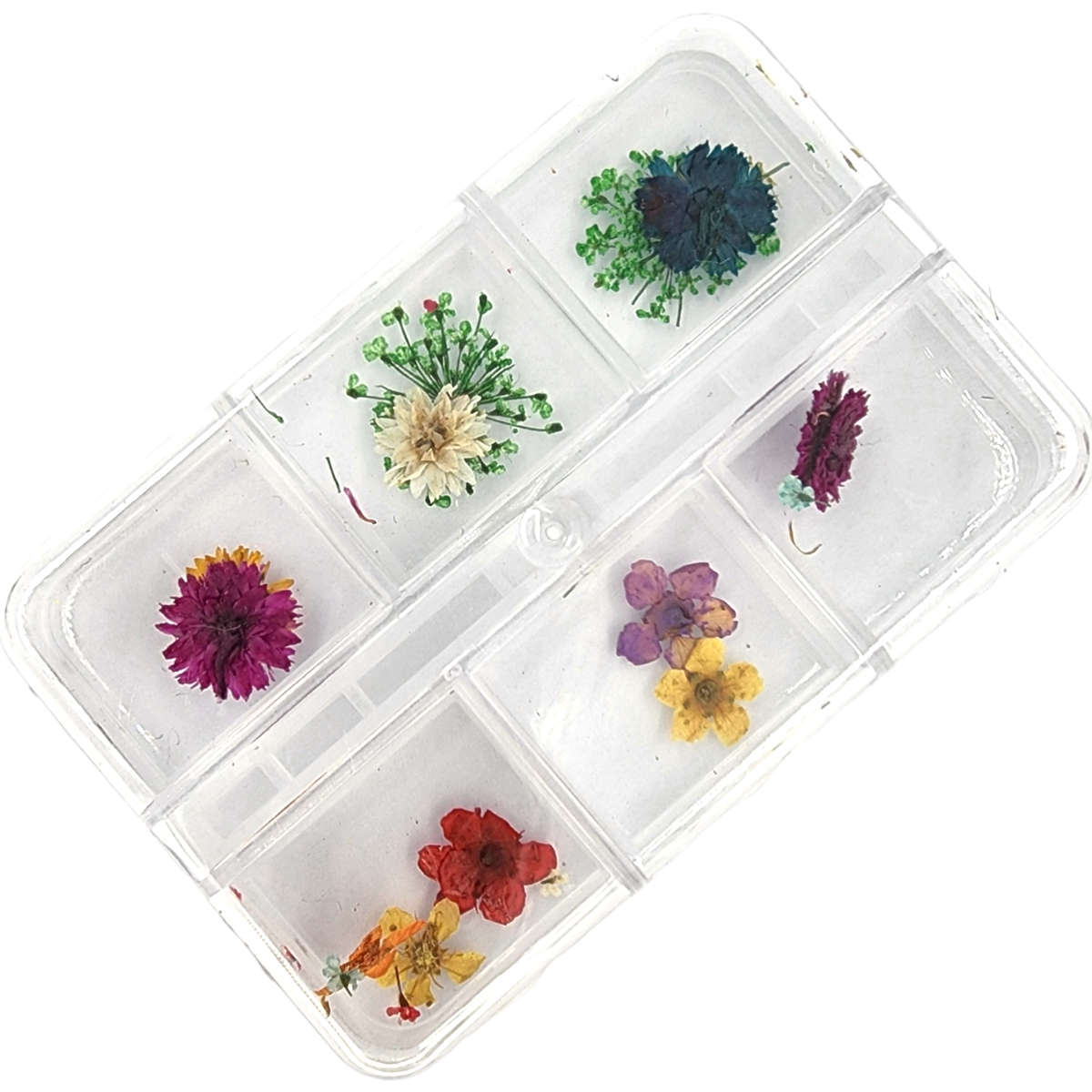 Dry Flowers Nail Dcor - Random Mix - 6 Grit Box