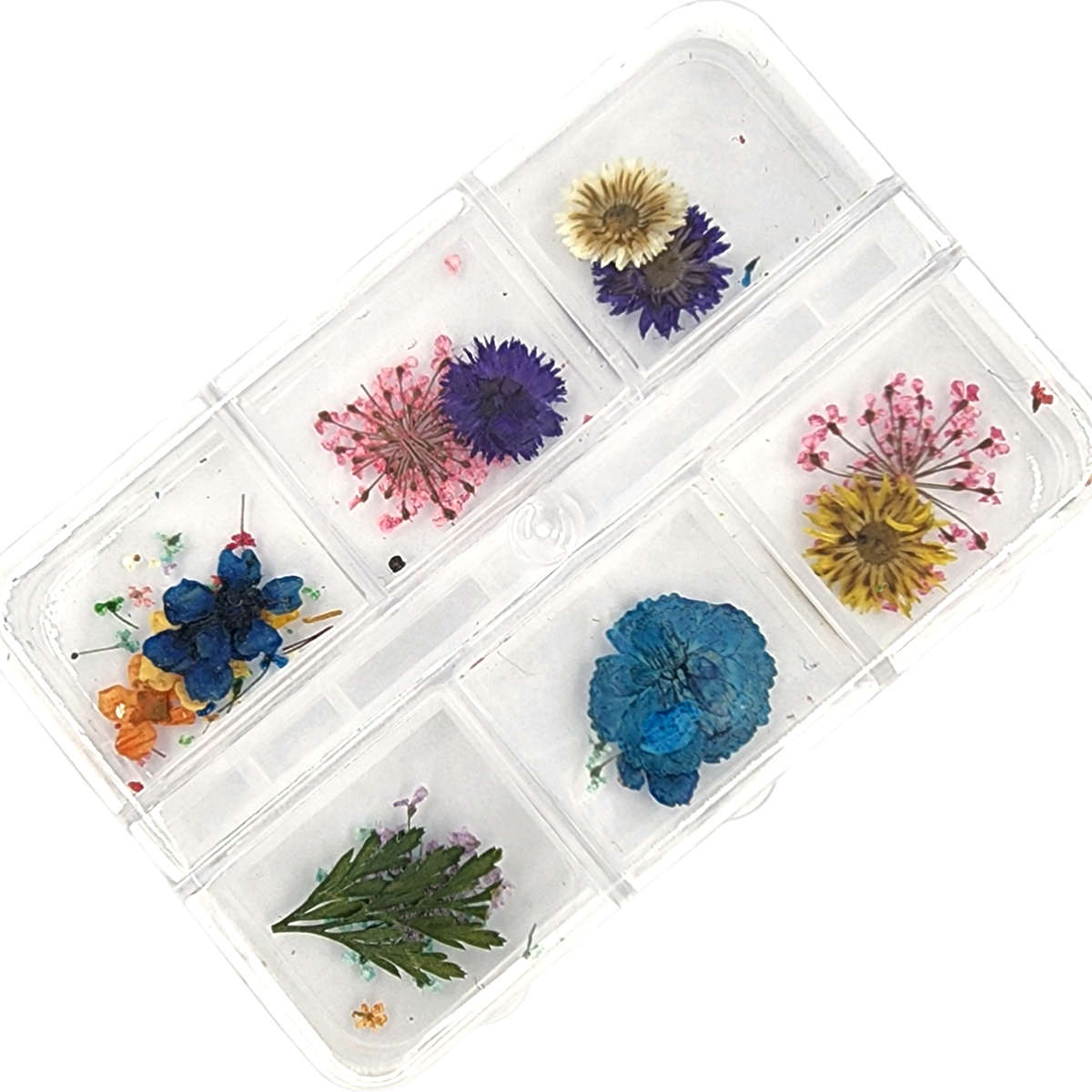 Dry Flowers Nail Dcor - Random Mix - 6 Grit Box