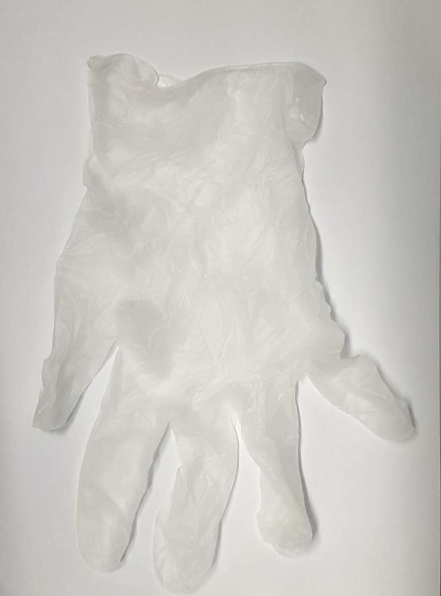 Disposable Gloves - 50pcs