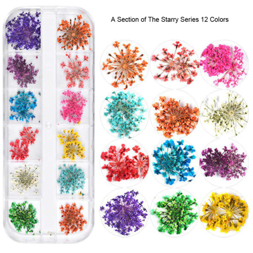Dry Flowers Nail Dcor - Tiny Starry Flowers