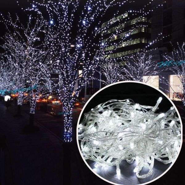 BULK FROM 6 // 10m LED Fairy Lights White 220v (white)