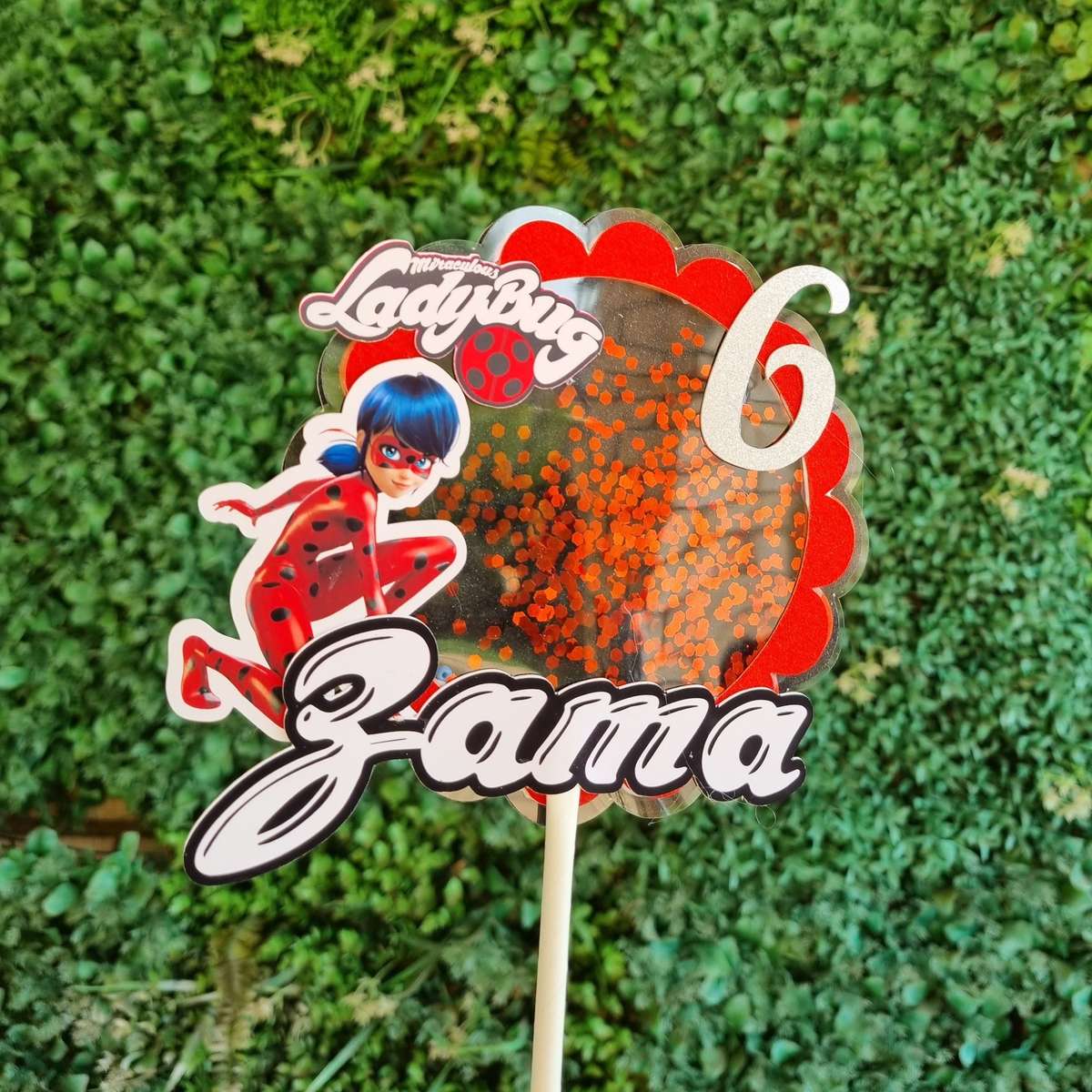 MIRACULOUS LADYBUG CAKE TOPPER Personalized Cake Toppers South Africa