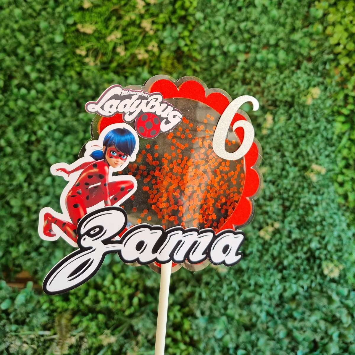 MIRACULOUS LADYBUG CAKE TOPPER Personalized Cake Toppers South Africa