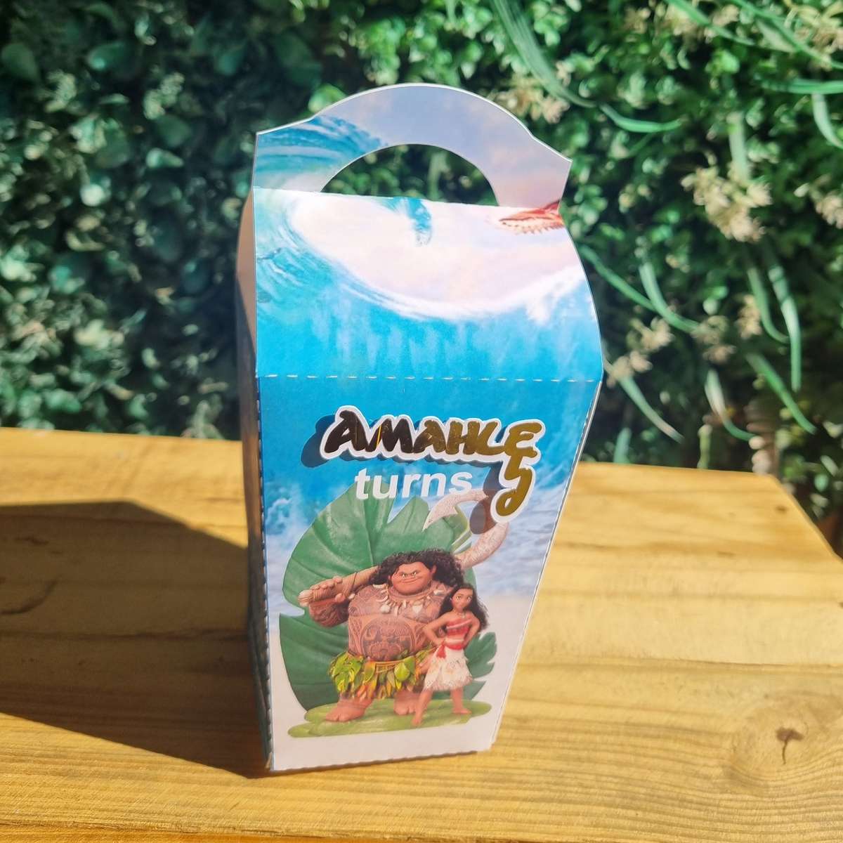 MOANA ASIA BOX PARTY PACKS BOX Personalized Kids Party Favors South Africa