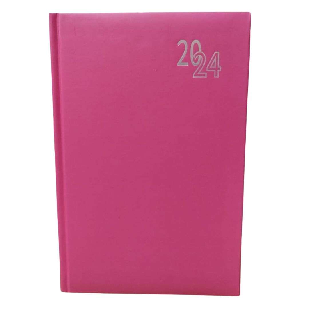 Page A Day Diary 2024 A5 Assorted Colours