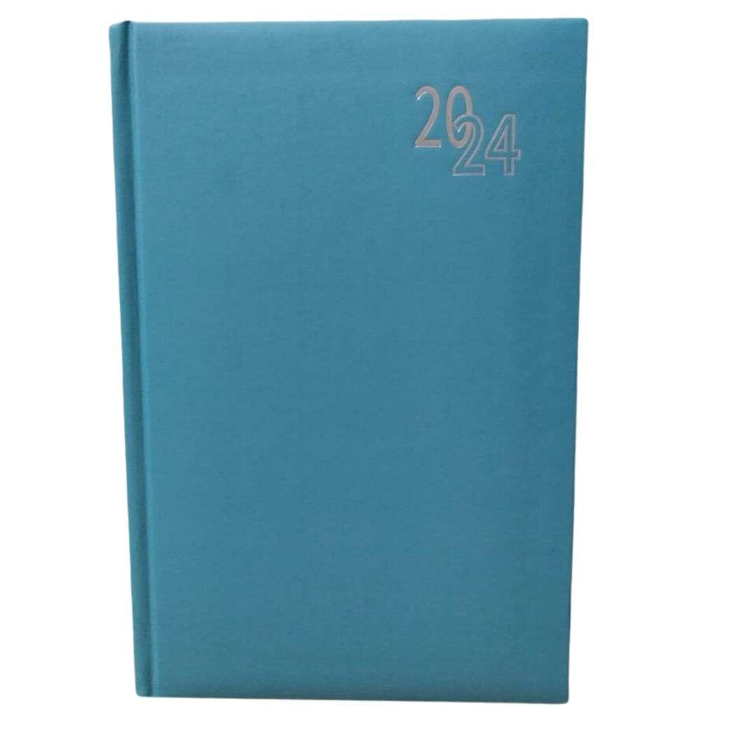 Page A Day Diary 2024 A5 Assorted Colours