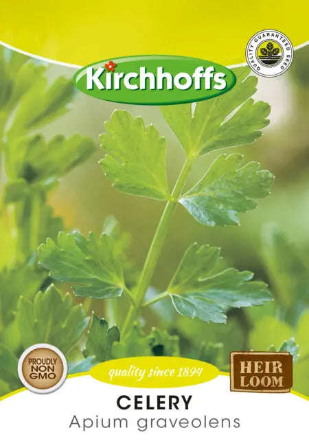 Celery (Apium Graveolens) - Kirchhoff Seeds, Herbs