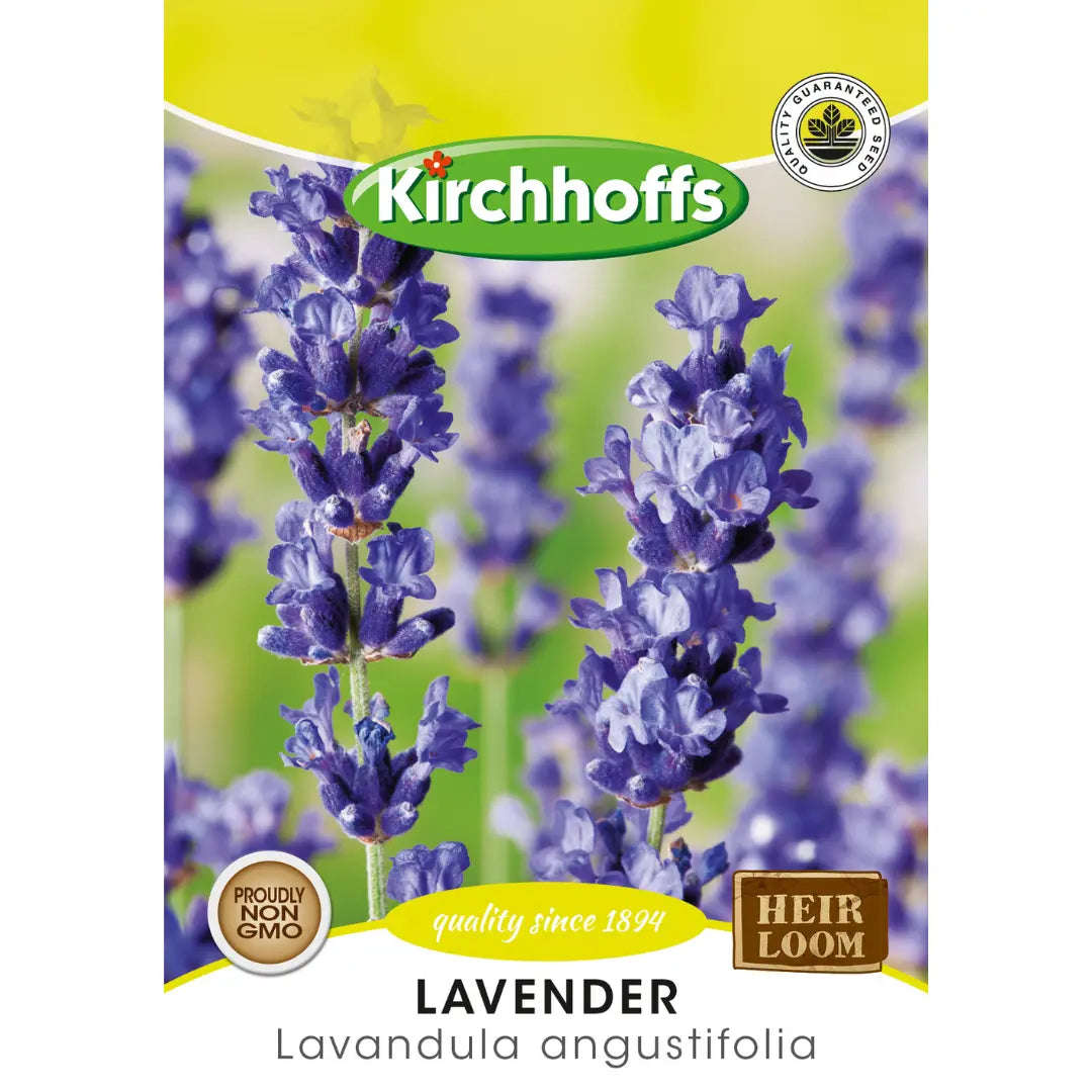 Lavender (Lavandula anggustilfolia) - Kirchhoff Seeds, Herbs