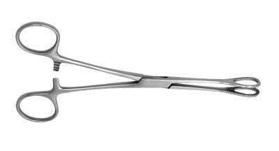 Swab Holding Forceps 18cm - 18cm
