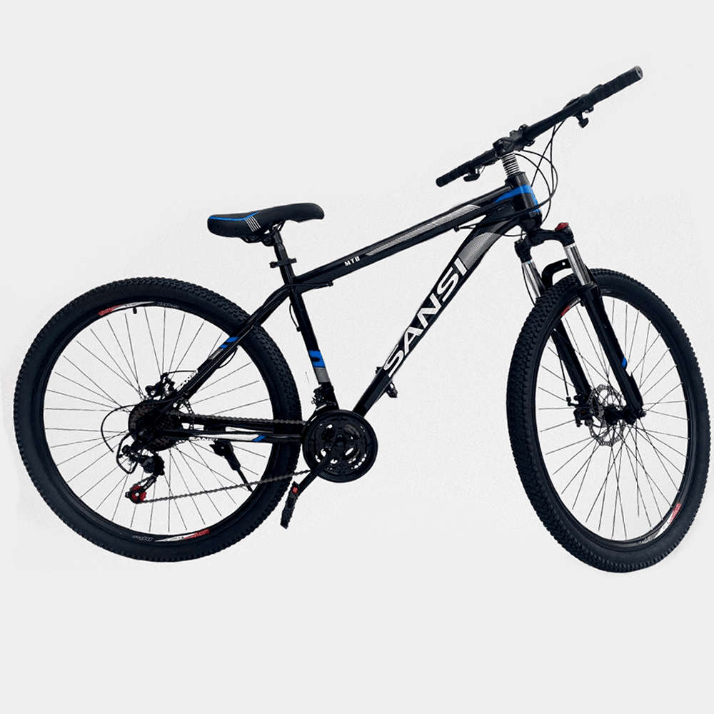 29" Rough-Terrain Mountain Bike - Black & Blue