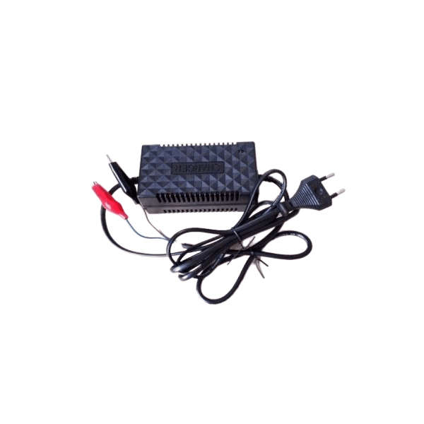 12v 2a Intelligent Pulse Charger