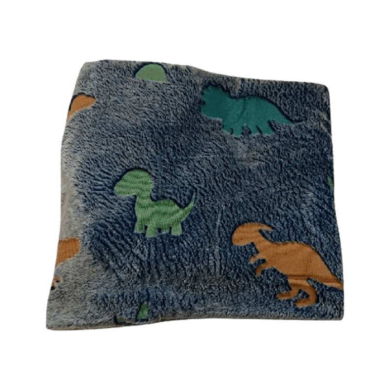 Blue Dinosaur  Glow in The Dark Magic Blankets RW-7
