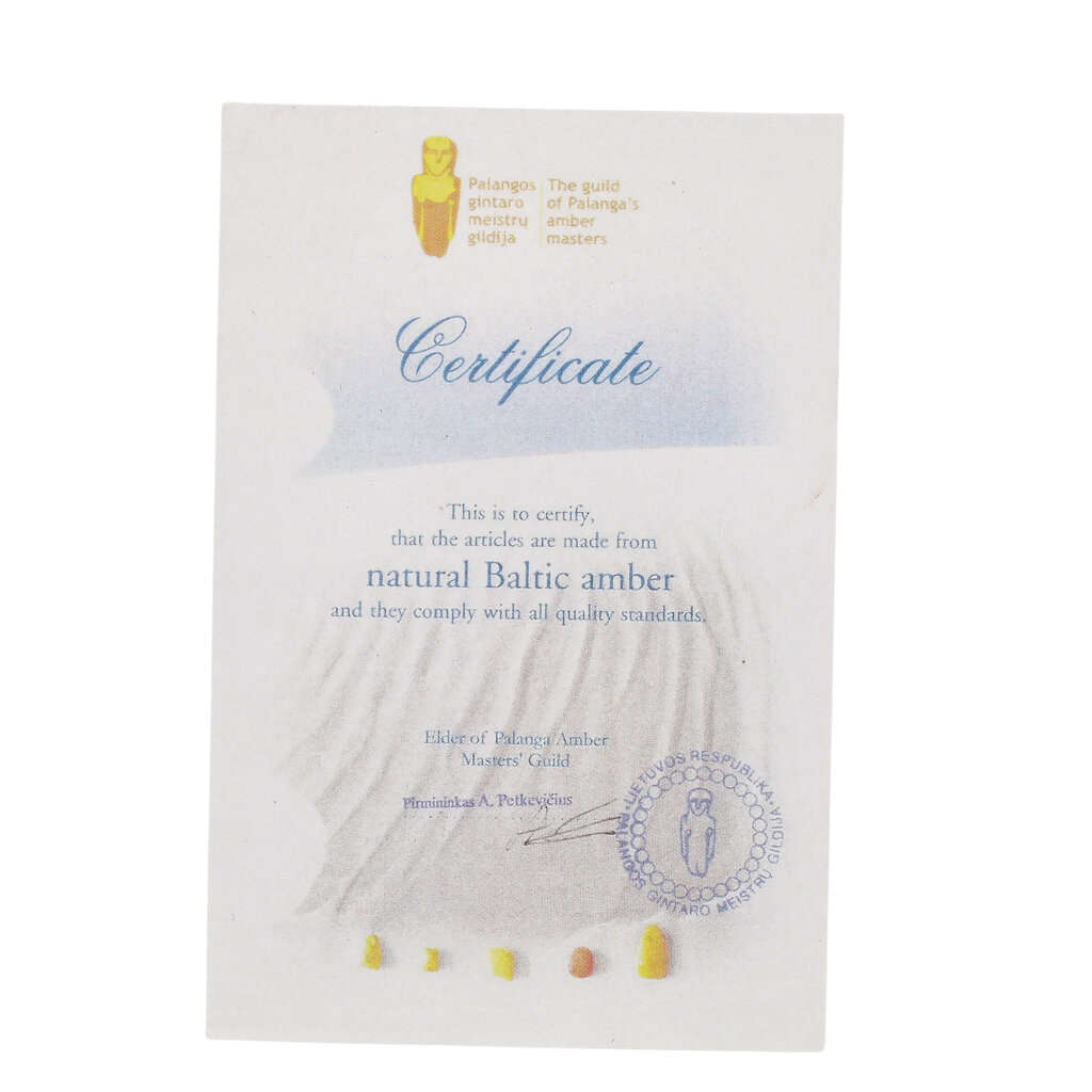 Genuine Baltic Amber: Ancient Insect Time Capsule Retry