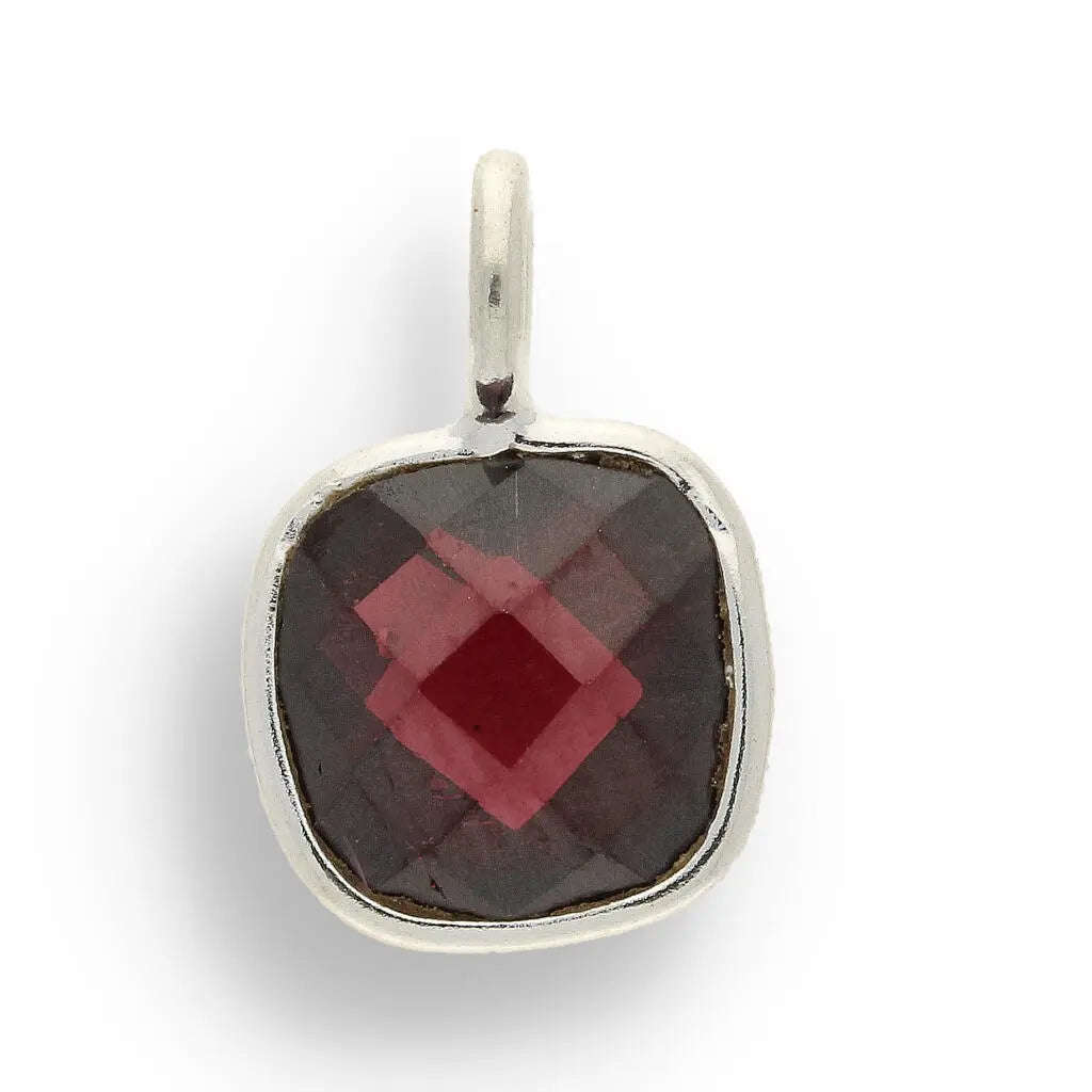 Bold Beginnings  Faceted Garnet January Birthstone Necklace