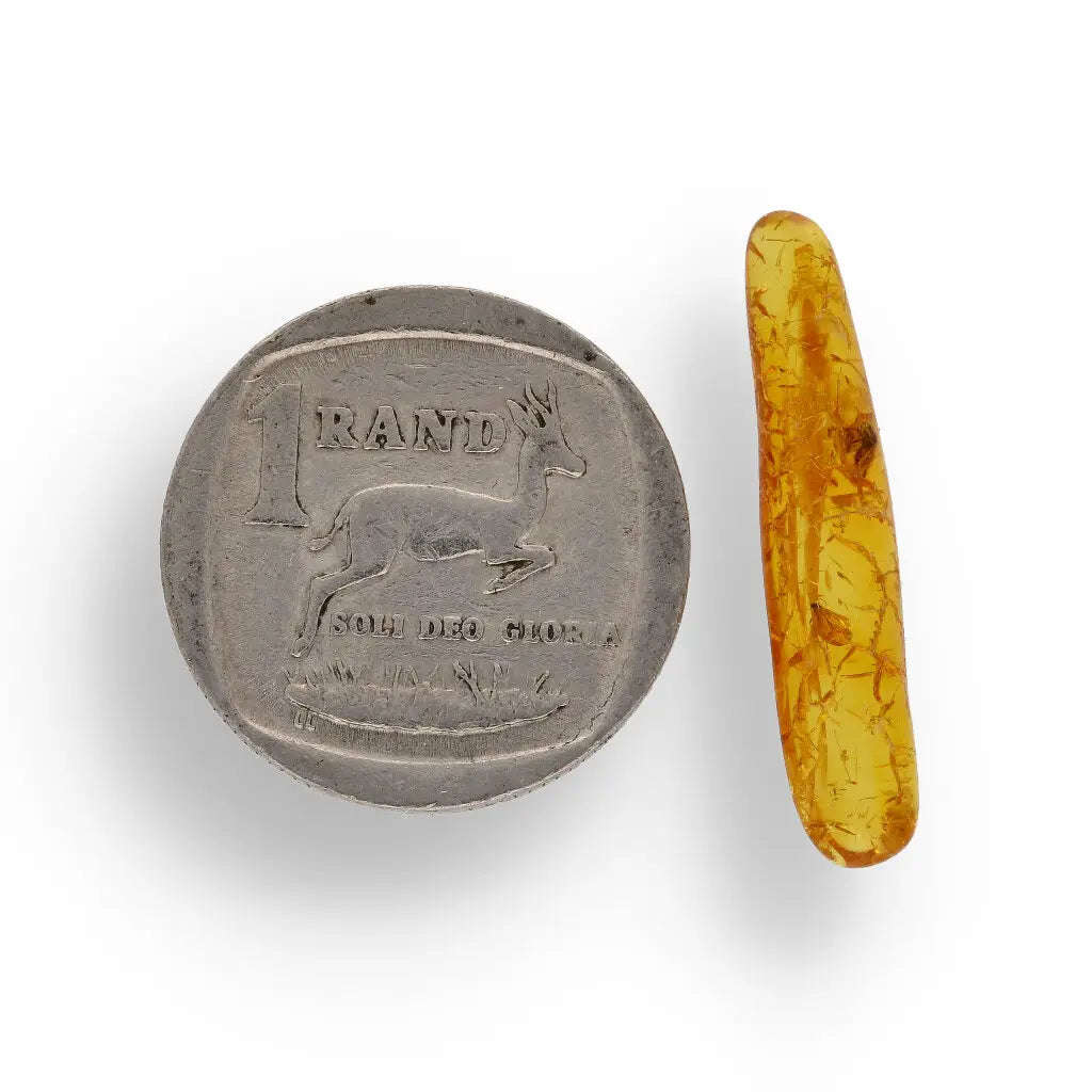 Genuine Baltic Amber: Ancient Insect Time Capsule Retry