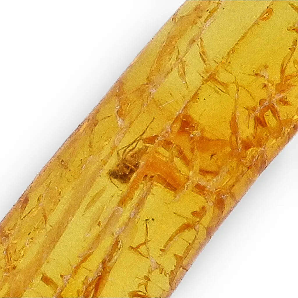 Genuine Baltic Amber: Ancient Insect Time Capsule Retry