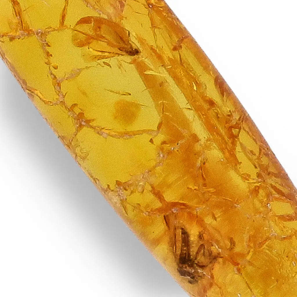Genuine Baltic Amber: Ancient Insect Time Capsule Retry