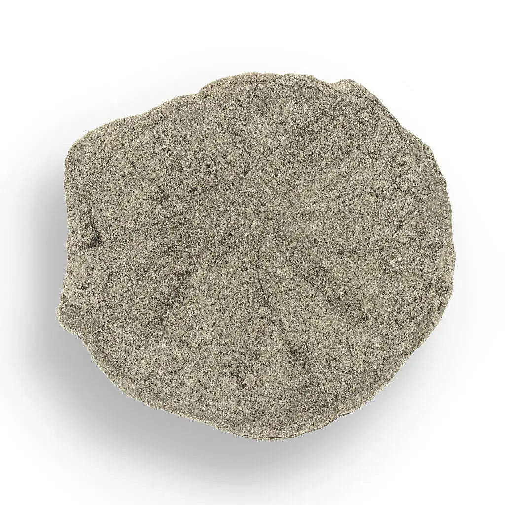 Pyrite Sun: Rare Illinois Mineral with Golden Brilliance