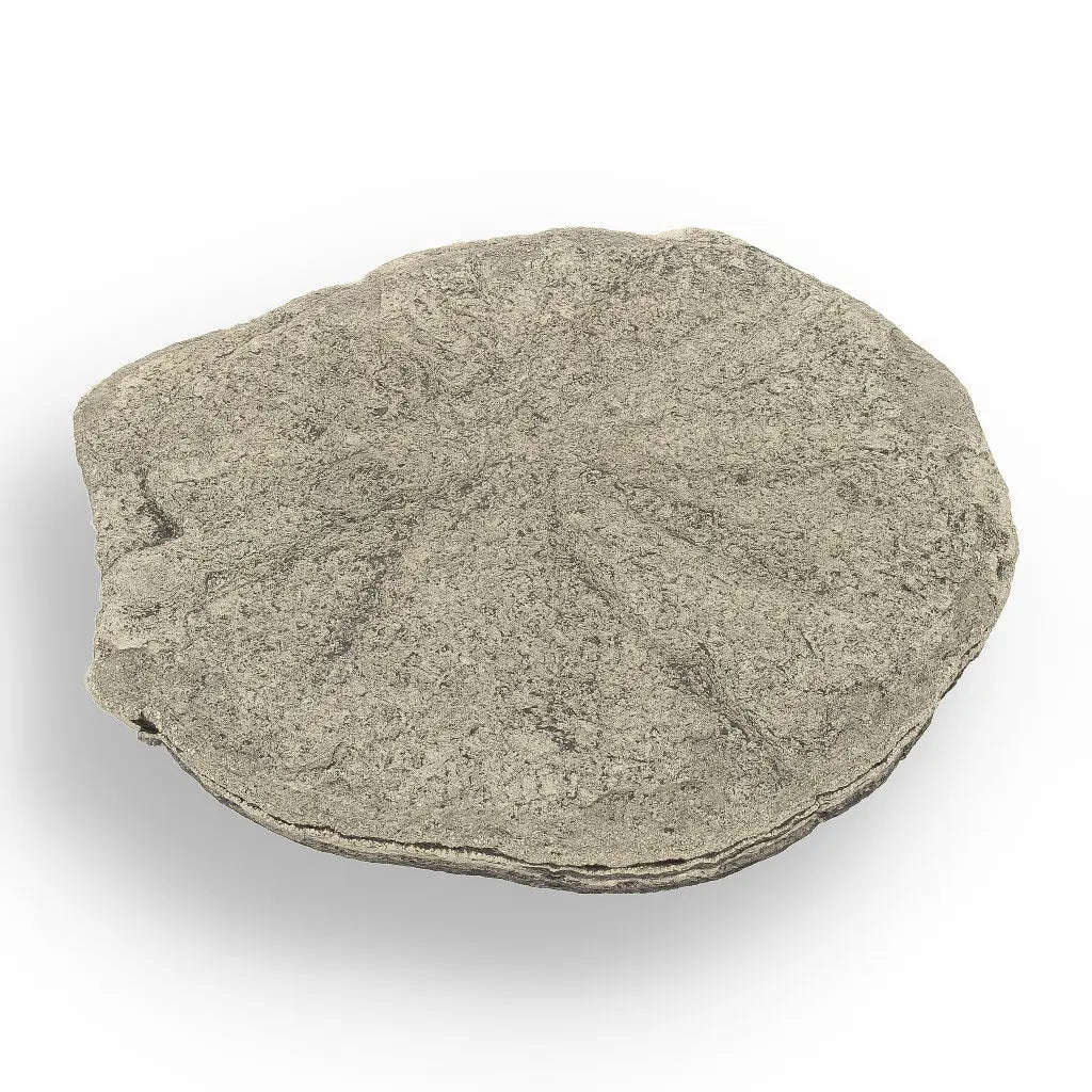 Pyrite Sun: Rare Illinois Mineral with Golden Brilliance