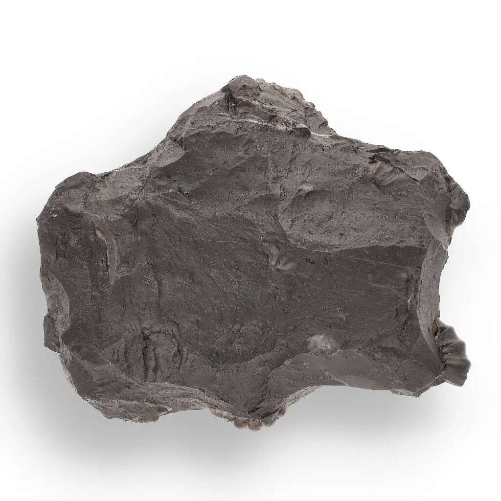 Rare Peruvian Ammonite Fossil Cluster - Early Jurassic