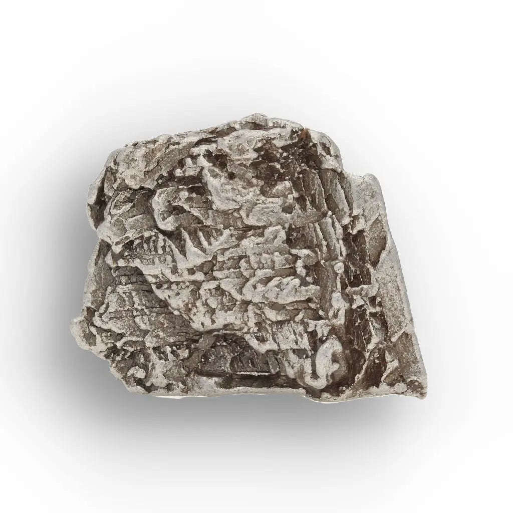 Genuine Aletai Coarse Octahedrite Meteorite