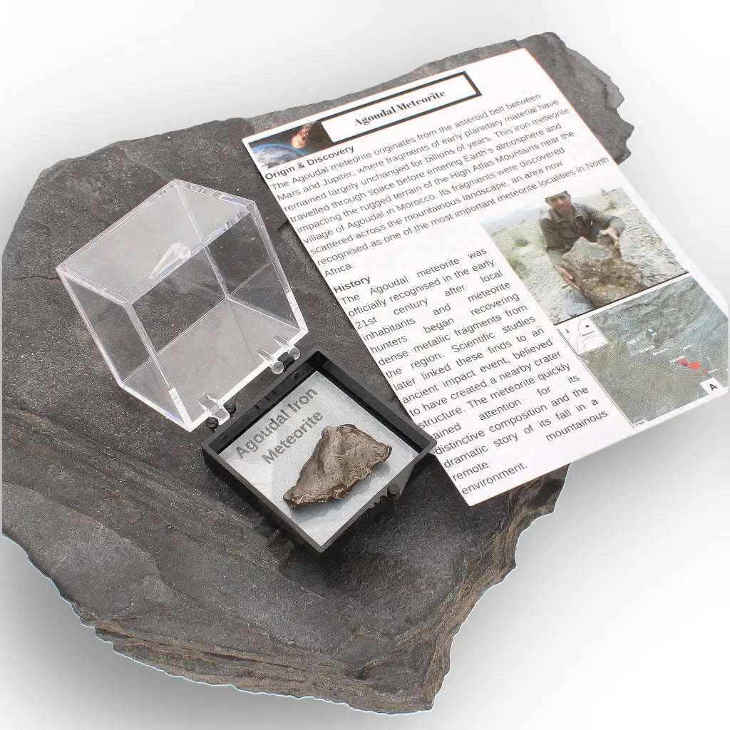 5 Gram Agoudal Iron Meteorite IIAB Specimen from Morocco