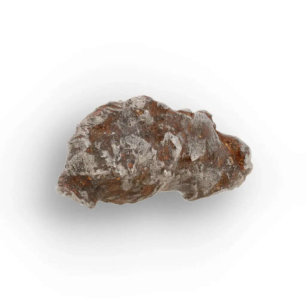 10 Gram Agoudal Meteorite Iron Specimen from Morocco