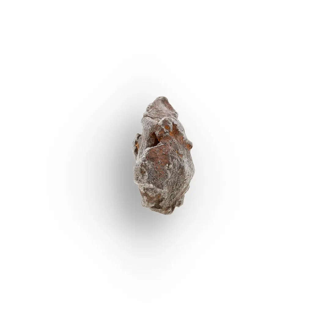 10 Gram Agoudal Meteorite Iron Specimen from Morocco