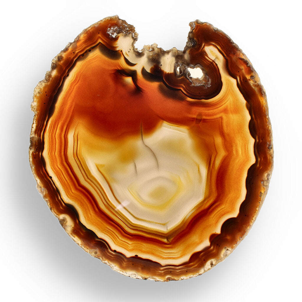 Natural Brown Agate Slice  Natures Coffee-Coloured Gem