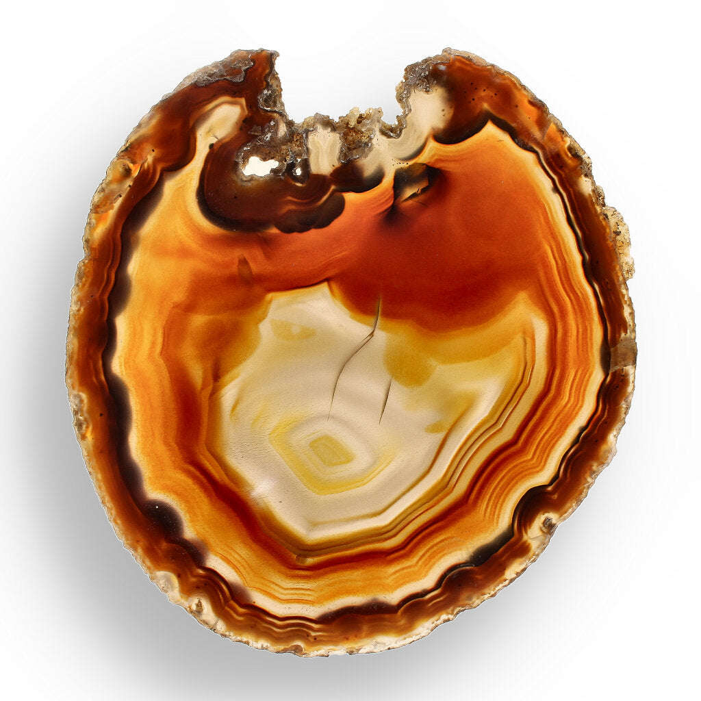 Natural Brown Agate Slice  Natures Coffee-Coloured Gem