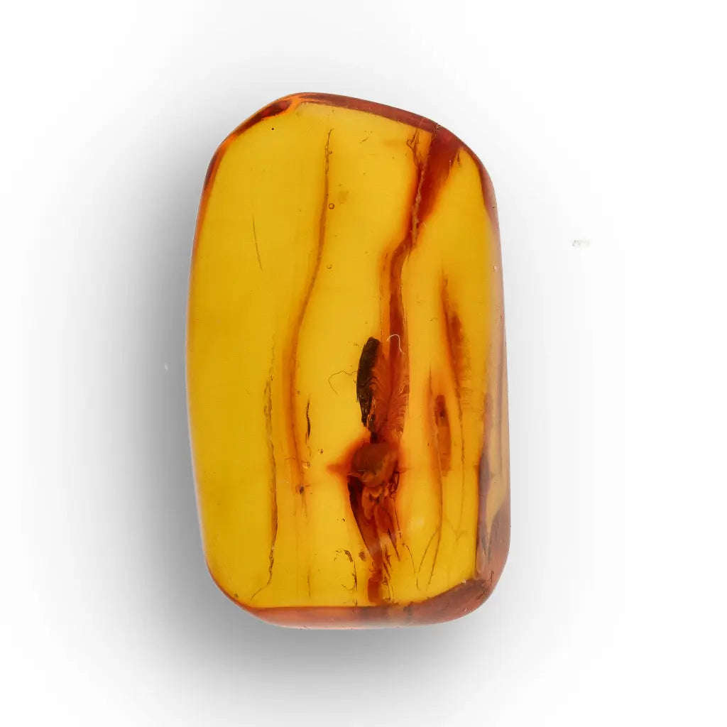 Natural Baltic Amber Fossil with Trapped Insect Inclusion
