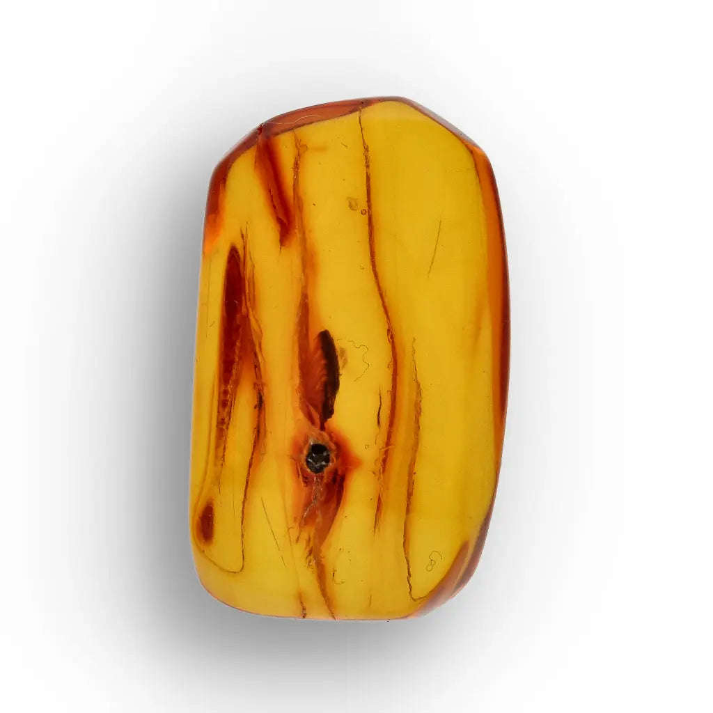 Natural Baltic Amber Fossil with Trapped Insect Inclusion