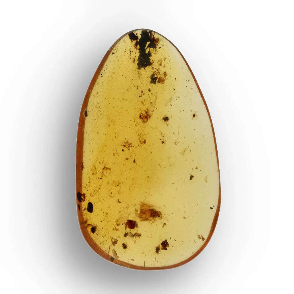 Myanmar Amber with Insect Inclusion  Natural Fossil Specimen