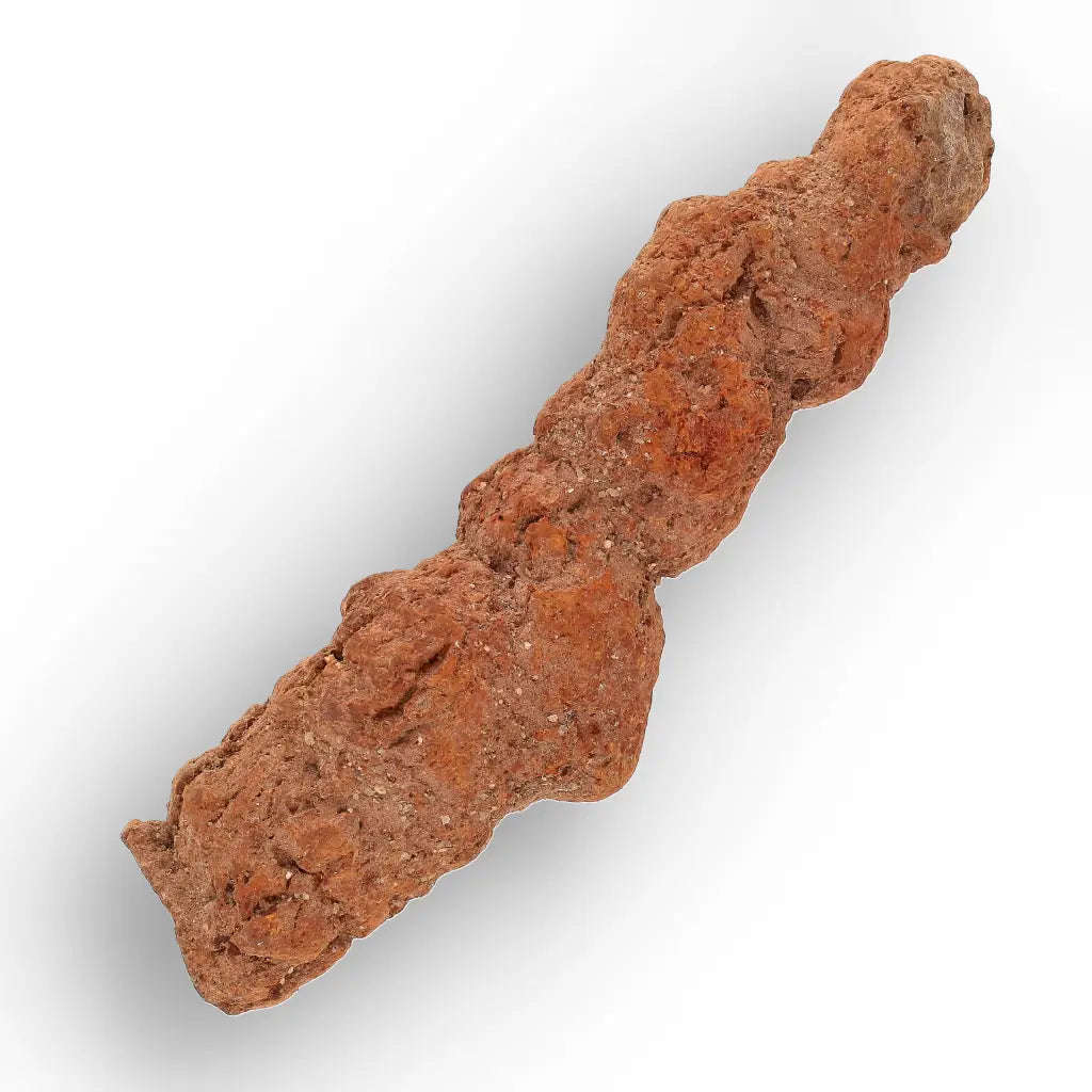 Authentic Madagascan Coprolite Fossil with Segmented Form